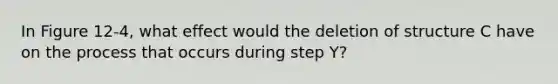 In Figure 12-4, what effect would the deletion of structure C have on the process that occurs during step Y?