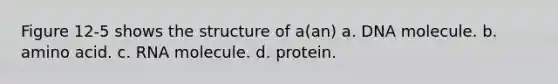 Figure 12-5 shows the structure of a(an) a. DNA molecule. b. amino acid. c. RNA molecule. d. protein.