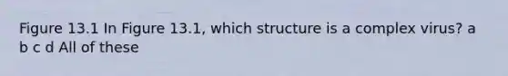 Figure 13.1 In Figure 13.1, which structure is a complex virus? a b c d All of these