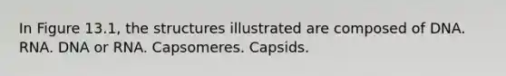 In Figure 13.1, the structures illustrated are composed of DNA. RNA. DNA or RNA. Capsomeres. Capsids.