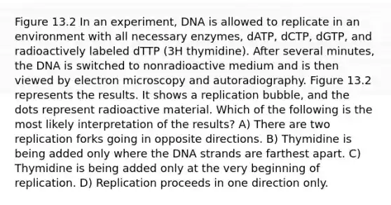 Figure 13.2 In an experiment, DNA is allowed to replicate in an environment with all necessary enzymes, dATP, dCTP, dGTP, and radioactively labeled dTTP (3H thymidine). After several minutes, the DNA is switched to nonradioactive medium and is then viewed by electron microscopy and autoradiography. Figure 13.2 represents the results. It shows a replication bubble, and the dots represent radioactive material. Which of the following is the most likely interpretation of the results? A) There are two replication forks going in opposite directions. B) Thymidine is being added only where the DNA strands are farthest apart. C) Thymidine is being added only at the very beginning of replication. D) Replication proceeds in one direction only.