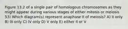 Figure 13.2 of a single pair of homologous chromosomes as they might appear during various stages of either mitosis or meiosis 53) Which diagram(s) represent anaphase II of meiosis? A) II only B) III only C) IV only D) V only E) either II or V