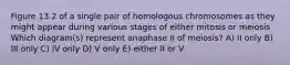 Figure 13.2 of a single pair of homologous chromosomes as they might appear during various stages of either mitosis or meiosis Which diagram(s) represent anaphase II of meiosis? A) II only B) III only C) IV only D) V only E) either II or V