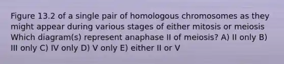 Figure 13.2 of a single pair of homologous chromosomes as they might appear during various stages of either mitosis or meiosis Which diagram(s) represent anaphase II of meiosis? A) II only B) III only C) IV only D) V only E) either II or V