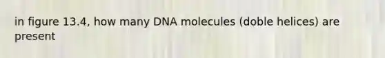 in figure 13.4, how many DNA molecules (doble helices) are present