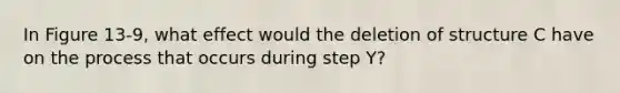 In Figure 13-9, what effect would the deletion of structure C have on the process that occurs during step Y?