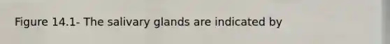 Figure 14.1- The salivary glands are indicated by