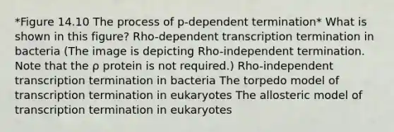 *Figure 14.10 The process of p-dependent termination* What is shown in this figure? Rho-dependent transcription termination in bacteria (The image is depicting Rho-independent termination. Note that the ρ protein is not required.) Rho-independent transcription termination in bacteria The torpedo model of transcription termination in eukaryotes The allosteric model of transcription termination in eukaryotes