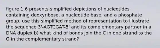 figure 1.6 presents simplified depictions of nucleotides containing deoxyribose, a nucleotide base, and a phosphate group. use this simplified method of representation to illustrate the sequence 3'-AGTCGAT-5' and its complementary partner in a DNA duplex b) what kind of bonds join the C in one strand to the G in the complementary strand?