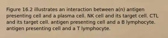 Figure 16.2 illustrates an interaction between a(n) antigen presenting cell and a plasma cell. NK cell and its target cell. CTL and its target cell. antigen presenting cell and a B lymphocyte. antigen presenting cell and a T lymphocyte.