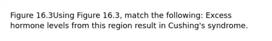 Figure 16.3Using Figure 16.3, match the following: Excess hormone levels from this region result in Cushing's syndrome.
