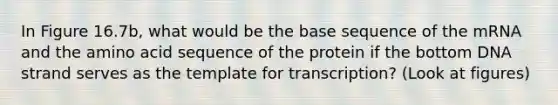 In Figure 16.7b, what would be the base sequence of the mRNA and the amino acid sequence of the protein if the bottom DNA strand serves as the template for transcription? (Look at figures)