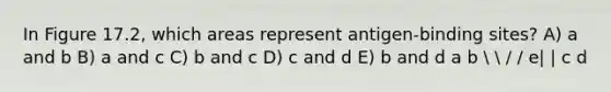 In Figure 17.2, which areas represent antigen-binding sites? A) a and b B) a and c C) b and c D) c and d E) b and d a b   / / e| | c d