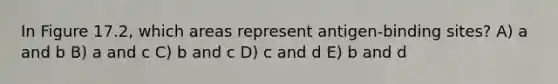 In Figure 17.2, which areas represent antigen-binding sites? A) a and b B) a and c C) b and c D) c and d E) b and d