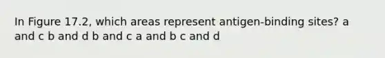 In Figure 17.2, which areas represent antigen-binding sites? a and c b and d b and c a and b c and d