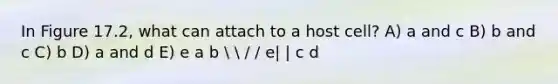 In Figure 17.2, what can attach to a host cell? A) a and c B) b and c C) b D) a and d E) e a b   / / e| | c d