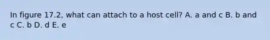 In figure 17.2, what can attach to a host cell? A. a and c B. b and c C. b D. d E. e