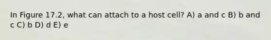 In Figure 17.2, what can attach to a host cell? A) a and c B) b and c C) b D) d E) e