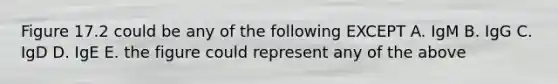 Figure 17.2 could be any of the following EXCEPT A. IgM B. IgG C. IgD D. IgE E. the figure could represent any of the above