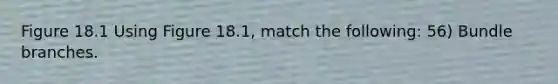 Figure 18.1 Using Figure 18.1, match the following: 56) Bundle branches.