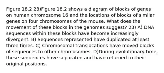 Figure 18.2 23)Figure 18.2 shows a diagram of blocks of genes on human chromosome 16 and the locations of blocks of similar genes on four chromosomes of the mouse. What does the movement of these blocks in the genomes suggest? 23) A) DNA sequences within these blocks have become increasingly divergent. B) Sequences represented have duplicated at least three times. C) Chromosomal translocations have moved blocks of sequences to other chromosomes. D)During evolutionary time, these sequences have separated and have returned to their original positions.