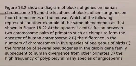 Figure 18.2 shows a diagram of blocks of genes on human chromosome 16 and the locations of blocks of similar genes on four chromosomes of the mouse. Which of the following represents another example of the same phenomenon as that shown in Figure 18.2? A) the apparent centric fusion between two chromosome pairs of primates such as chimps to form the ancestor of human chromosome 2 B) the difference in the numbers of chromosomes in five species of one genus of birds C) the formation of several pseudogenes in the globin gene family subsequent to human divergence from other primates D) the high frequency of polyploidy in many species of angiosperms