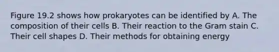 Figure 19.2 shows how prokaryotes can be identified by A. The composition of their cells B. Their reaction to the Gram stain C. Their cell shapes D. Their methods for obtaining energy