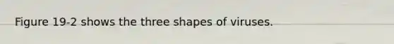 Figure 19-2 shows the three shapes of viruses.