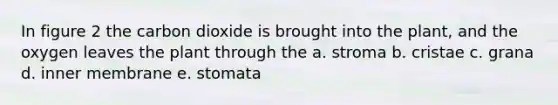 In figure 2 the carbon dioxide is brought into the plant, and the oxygen leaves the plant through the a. stroma b. cristae c. grana d. inner membrane e. stomata