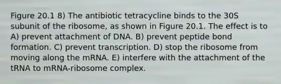 Figure 20.1 8) The antibiotic tetracycline binds to the 30S subunit of the ribosome, as shown in Figure 20.1. The effect is to A) prevent attachment of DNA. B) prevent peptide bond formation. C) prevent transcription. D) stop the ribosome from moving along the mRNA. E) interfere with the attachment of the tRNA to mRNA-ribosome complex.