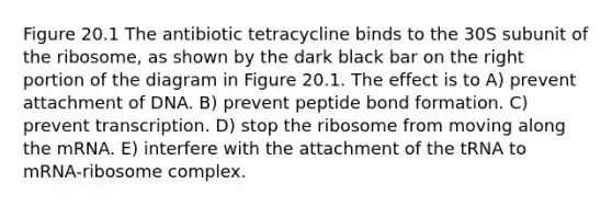 Figure 20.1 The antibiotic tetracycline binds to the 30S subunit of the ribosome, as shown by the dark black bar on the right portion of the diagram in Figure 20.1. The effect is to A) prevent attachment of DNA. B) prevent peptide bond formation. C) prevent transcription. D) stop the ribosome from moving along the mRNA. E) interfere with the attachment of the tRNA to mRNA-ribosome complex.