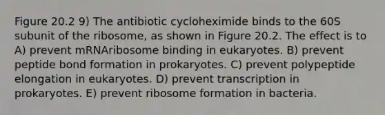 Figure 20.2 9) The antibiotic cycloheximide binds to the 60S subunit of the ribosome, as shown in Figure 20.2. The effect is to A) prevent mRNAribosome binding in eukaryotes. B) prevent peptide bond formation in prokaryotes. C) prevent polypeptide elongation in eukaryotes. D) prevent transcription in prokaryotes. E) prevent ribosome formation in bacteria.