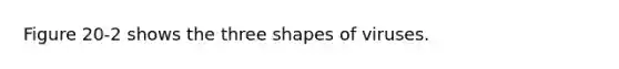 Figure 20-2 shows the three shapes of viruses.