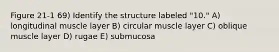 Figure 21-1 69) Identify the structure labeled "10." A) longitudinal muscle layer B) circular muscle layer C) oblique muscle layer D) rugae E) submucosa