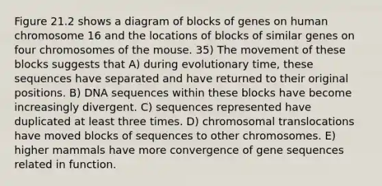 Figure 21.2 shows a diagram of blocks of genes on human chromosome 16 and the locations of blocks of similar genes on four chromosomes of the mouse. 35) The movement of these blocks suggests that A) during evolutionary time, these sequences have separated and have returned to their original positions. B) DNA sequences within these blocks have become increasingly divergent. C) sequences represented have duplicated at least three times. D) chromosomal translocations have moved blocks of sequences to other chromosomes. E) higher mammals have more convergence of gene sequences related in function.