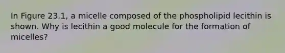 In Figure 23.1, a micelle composed of the phospholipid lecithin is shown. Why is lecithin a good molecule for the formation of micelles?