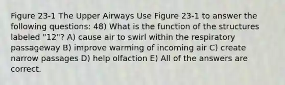 Figure 23-1 The Upper Airways Use Figure 23-1 to answer the following questions: 48) What is the function of the structures labeled "12"? A) cause air to swirl within the respiratory passageway B) improve warming of incoming air C) create narrow passages D) help olfaction E) All of the answers are correct.