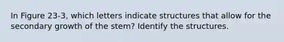 In Figure 23-3, which letters indicate structures that allow for the secondary growth of the stem? Identify the structures.