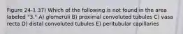 Figure 24-1 37) Which of the following is not found in the area labeled "3." A) glomeruli B) proximal convoluted tubules C) vasa recta D) distal convoluted tubules E) peritubular capillaries