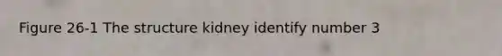 Figure 26-1 The structure kidney identify number 3