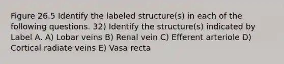 Figure 26.5 Identify the labeled structure(s) in each of the following questions. 32) Identify the structure(s) indicated by Label A. A) Lobar veins B) Renal vein C) Efferent arteriole D) Cortical radiate veins E) Vasa recta