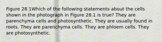 Figure 28.1Which of the following statements about the cells shown in the photograph in Figure 28.1 is true? They are parenchyma cells and photosynthetic. They are usually found in roots. They are parenchyma cells. They are phloem cells. They are photosynthetic.