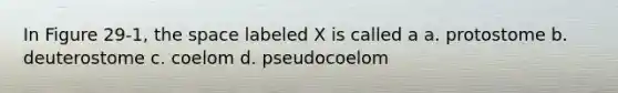 In Figure 29-1, the space labeled X is called a a. protostome b. deuterostome c. coelom d. pseudocoelom