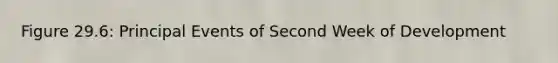 Figure 29.6: Principal Events of Second Week of Development