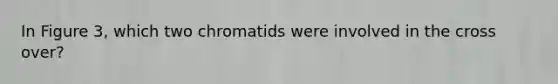 In Figure 3, which two chromatids were involved in the cross over?