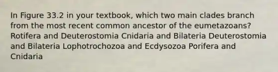 In Figure 33.2 in your textbook, which two main clades branch from the most recent common ancestor of the eumetazoans? Rotifera and Deuterostomia Cnidaria and Bilateria Deuterostomia and Bilateria Lophotrochozoa and Ecdysozoa Porifera and Cnidaria