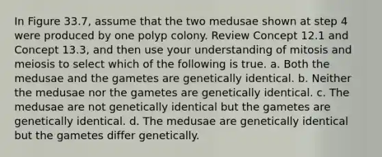 In Figure 33.7, assume that the two medusae shown at step 4 were produced by one polyp colony. Review Concept 12.1 and Concept 13.3, and then use your understanding of mitosis and meiosis to select which of the following is true. a. Both the medusae and the gametes are genetically identical. b. Neither the medusae nor the gametes are genetically identical. c. The medusae are not genetically identical but the gametes are genetically identical. d. The medusae are genetically identical but the gametes differ genetically.