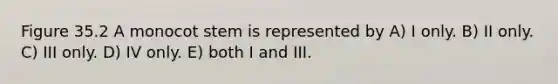 Figure 35.2 A monocot stem is represented by A) I only. B) II only. C) III only. D) IV only. E) both I and III.