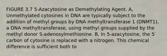 FIGURE 3.7 5-Azacytosine as Demethylating Agent. A, Unmethylated cytosines in DNA are typically subject to the addition of methyl groups by DNA methyltransferase 1 (DNMT1), a DNA methyltransferase, using methyl groups supplied by the methyl donor S-adenosylmethionine. B, In 5-azacytosine, the 5′ carbon of cytosine is replaced with a nitrogen. This chemical difference is sufficient both to