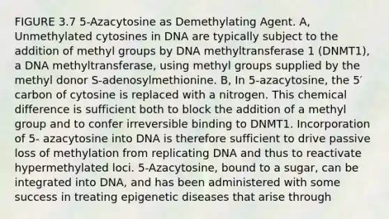 FIGURE 3.7 5-Azacytosine as Demethylating Agent. A, Unmethylated cytosines in DNA are typically subject to the addition of methyl groups by DNA methyltransferase 1 (DNMT1), a DNA methyltransferase, using methyl groups supplied by the methyl donor S-adenosylmethionine. B, In 5-azacytosine, the 5′ carbon of cytosine is replaced with a nitrogen. This chemical difference is sufficient both to block the addition of a methyl group and to confer irreversible binding to DNMT1. Incorporation of 5- azacytosine into DNA is therefore sufficient to drive passive loss of methylation from replicating DNA and thus to reactivate hypermethylated loci. 5-Azacytosine, bound to a sugar, can be integrated into DNA, and has been administered with some success in treating epigenetic diseases that arise through